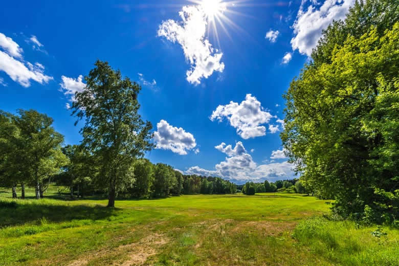 Sunny spring day in Azerbaijan countryside with blooming flowers and green hills