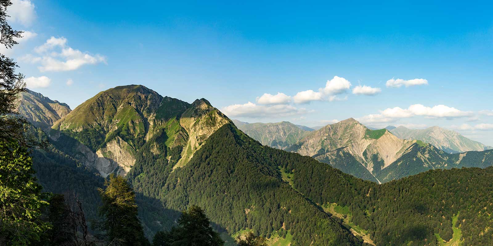 Majestic forested hills in Gabala, a favorite spot for nature lovers